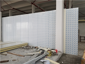 B1级冷库板建造冷库