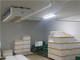深圳市**贸易发展有限公司 水果蔬菜冷库